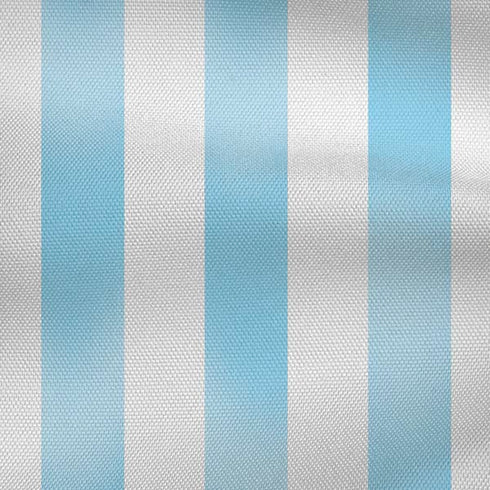 Argentina Soccer Flag iPhone XS Pro Case